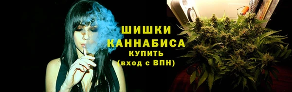 ПСИЛОЦИБИНОВЫЕ ГРИБЫ Алзамай