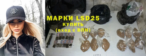 гашик Новозыбков