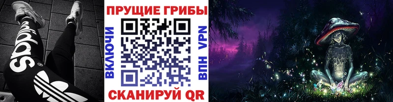 Галлюциногенные грибы мухоморы Саянск