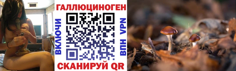 даркнет сайт  Саянск  Галлюциногенные грибы ЛСД 