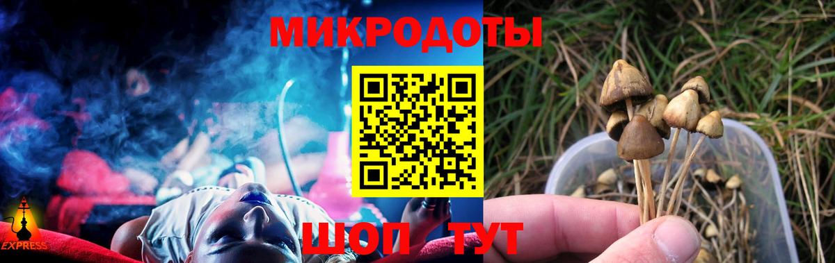 Саянск  Псилоцибиновые грибы GOLDEN TEACHER  Псилоцибиновые грибы мухоморы  Вход с VPN 